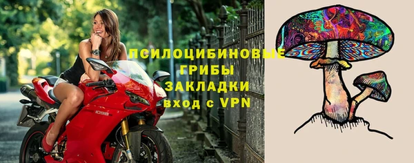 бутират Медногорск